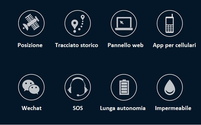 Localizzatore Gps, Gps Auto Localizzatore Con App,6000 Mah Batteria  Ricaricabile, 10 Secondi Aggiornamento Istantaneo, Carica Mensile Antifurto